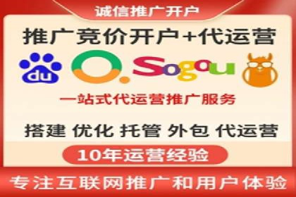 百度竞价广告投放策略：案例分析及效果评估